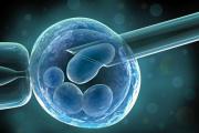 世界首例胎盘干细胞移植成功