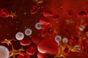 英国将利用脐带血造血干细胞试验人造血液