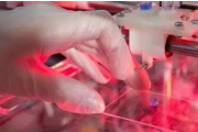 3D打印干细胞获新突破，使医学动物测试需求减少
