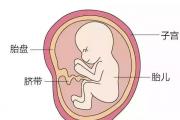 新生儿干细胞存储选择正规机构很重要——河南脐血库