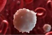 间充质干细胞应用于疾病治疗研究领域取得的突破 