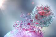 NK细胞可以防癌抗衰老，改善亚健康