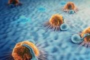 十个肿瘤细胞免疫治疗的真相